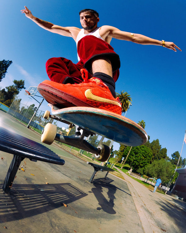 Closer Look: Paul Rodriguez Zoom Air Low "All Star West"