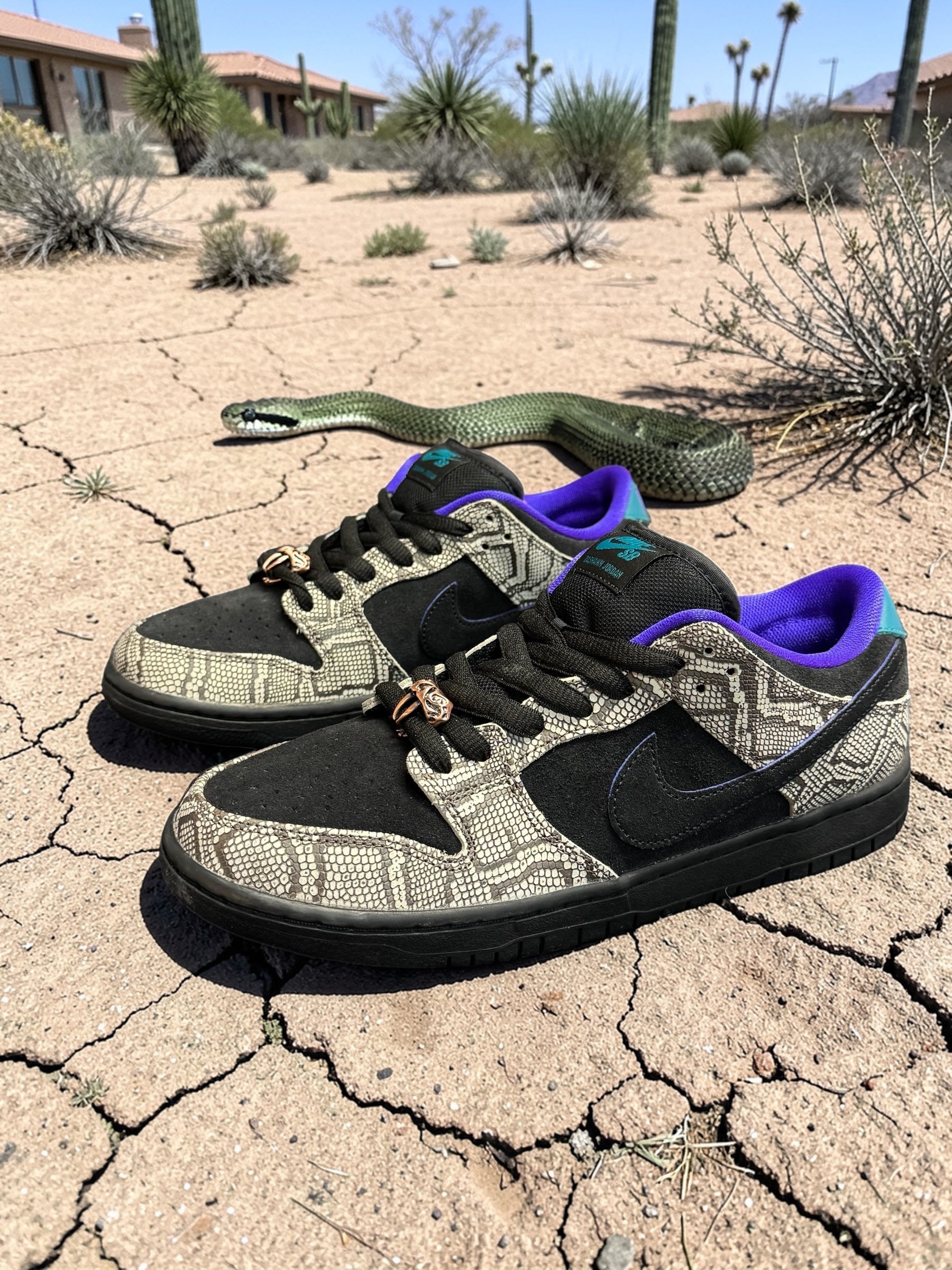 Dashawn Jordan Honors Chandler Roots with SB Dunk