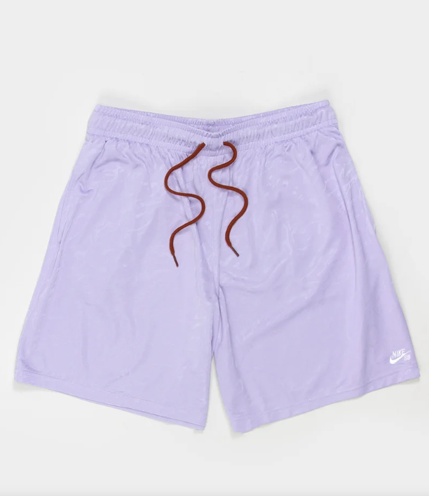 Nike SB Dri Fit Skate Shorts